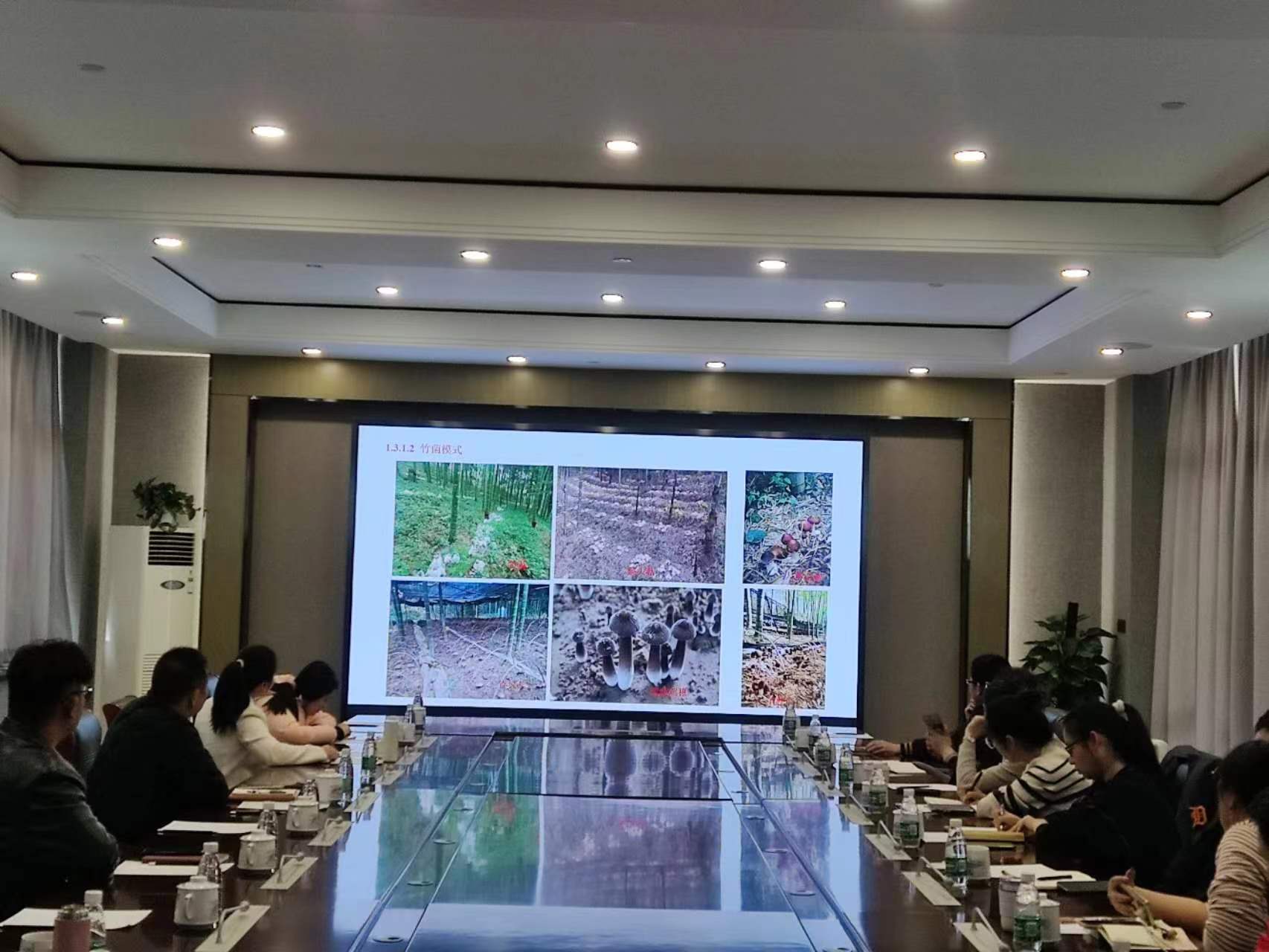 上海市林下经济技术交流会在崇明召开1.jpg