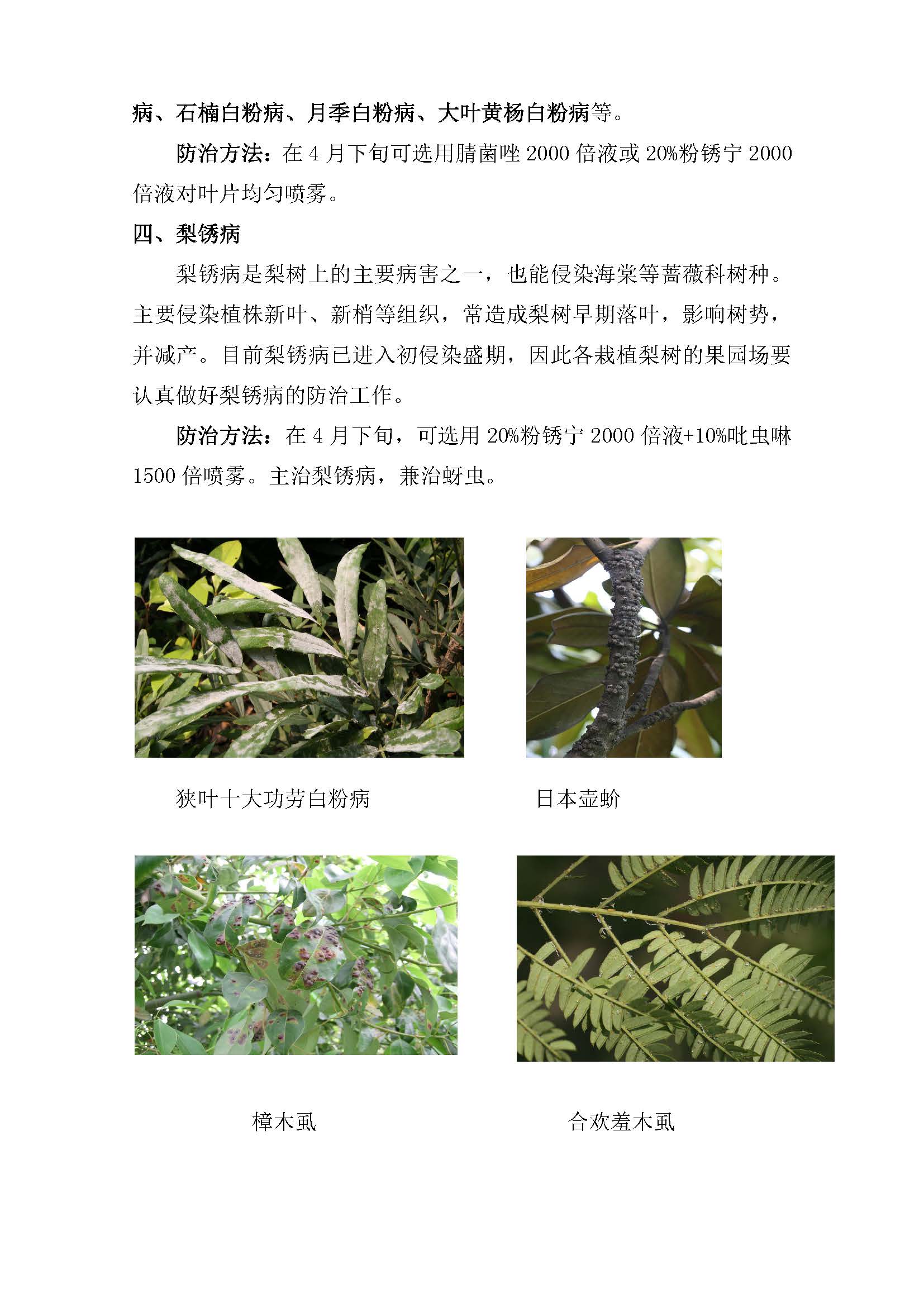 闵行区林业有害生物预警信息191_页面_2.jpg